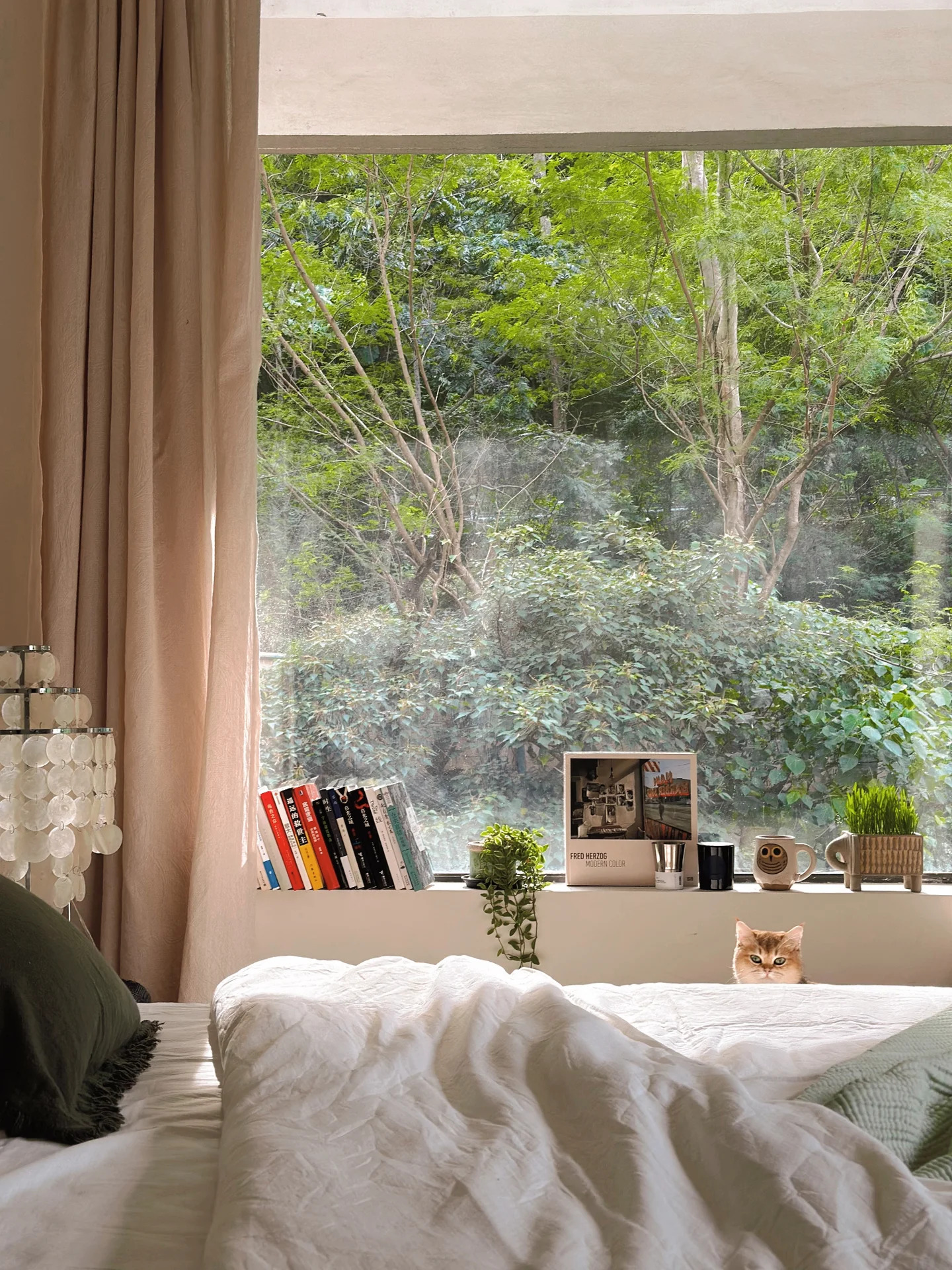 你家的窗戶(hù)為什么會(huì)漏水，怎么解決？看完這篇讓你輕松應(yīng)對(duì)你家的窗戶(hù)為什么會(huì)漏水，怎么解決？看完這篇讓你輕松應(yīng)對(duì)